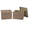 Household Essentials Canvas Storage Boxes with Lids, 2ct.